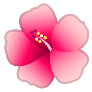 kidzkadooz.nl logo